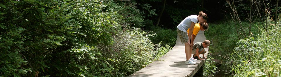 June is Recreation & Parks Month